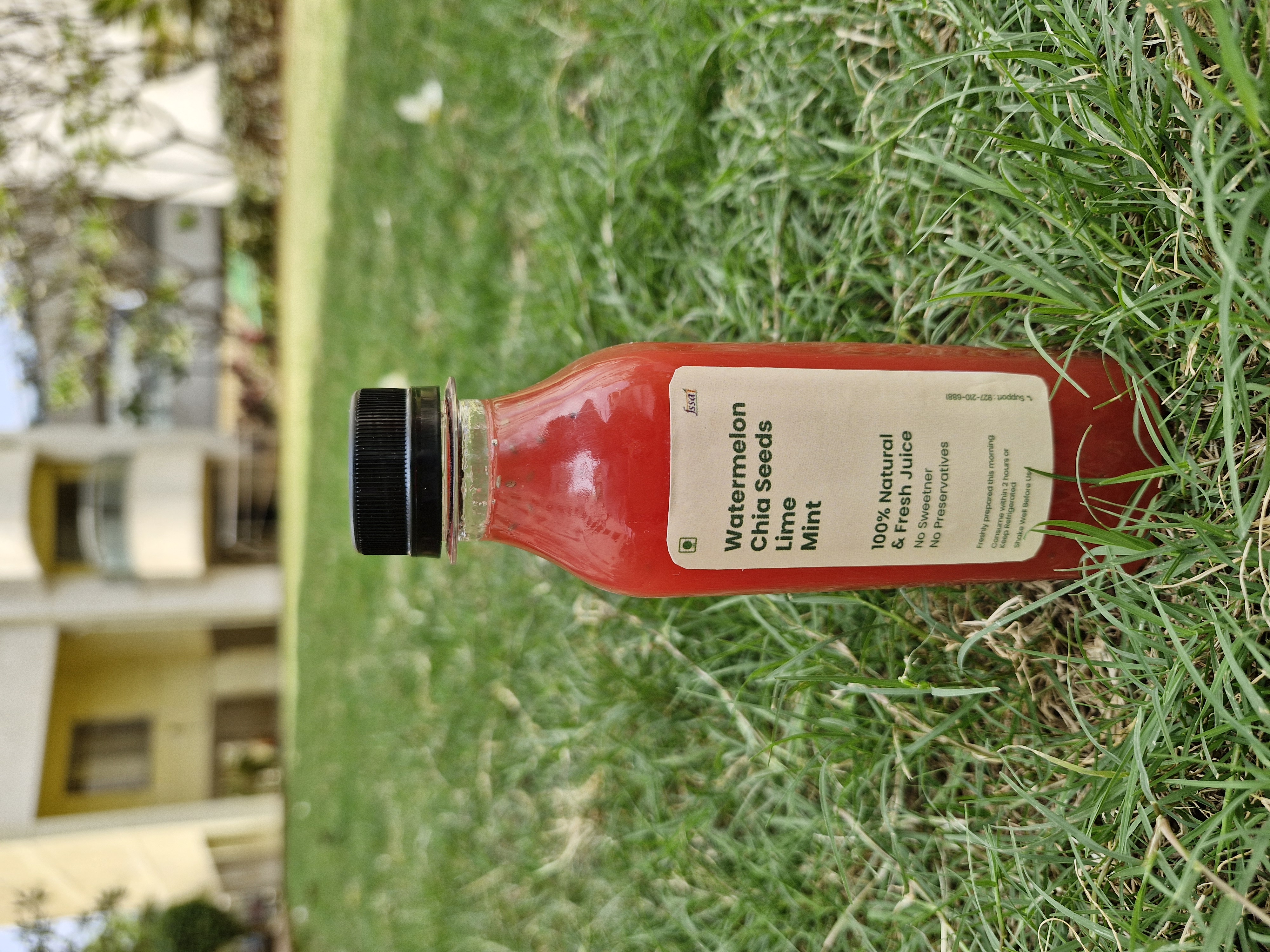 Watermelon + Lime + Mint + Chia